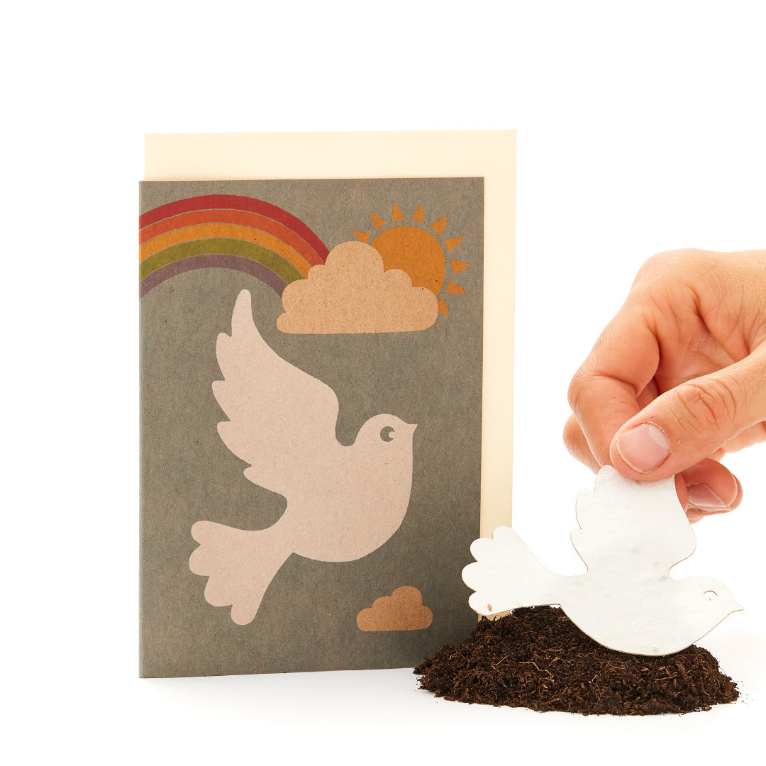 Plantez à la main une forme de colombe en papier dans le sol devant une carte de vœux avec un motif de colombe et d'arc-en-ciel.