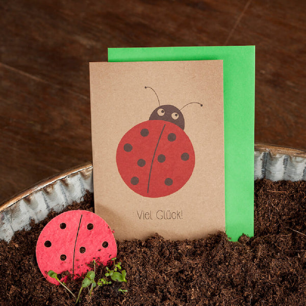 Carte de vœux avec un motif de coccinelle et les mots « Bonne chance ! » sur le sol.
