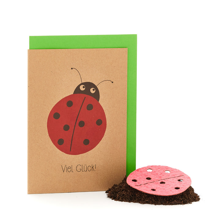 Carte de vœux avec un motif de coccinelle et l'inscription "Bonne chance !" à côté d'un petit tas de terre avec une pierre coccinelle dessus.
