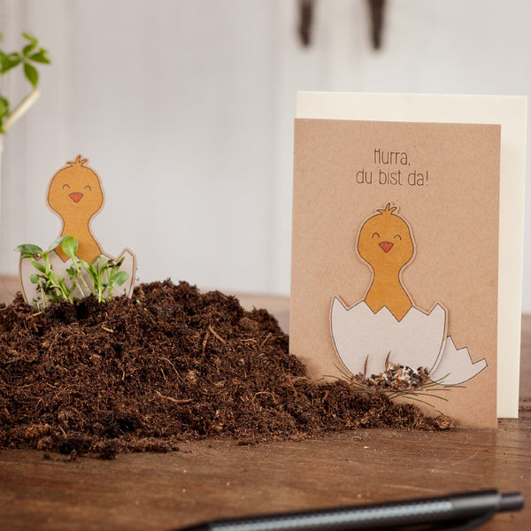 Carte de vœux amusante avec des motifs de poussins et le texte "Hourra, vous êtes là !", posée sur un tas de terre.