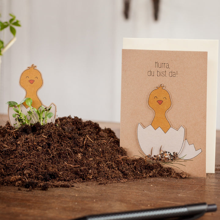 Carte de vœux amusante avec des motifs de poussins et le texte "Hourra, vous êtes là !", posée sur un tas de terre.