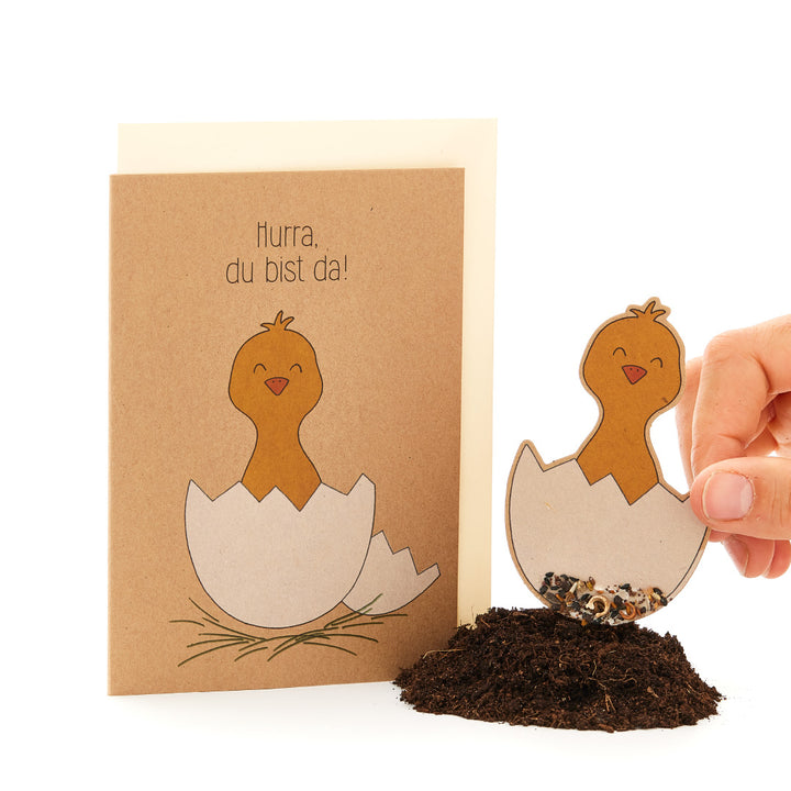 Carte de vœux avec un poussin dessiné dans un œuf et l'inscription "Hourra, vous êtes là !", à côté une main plantant une figure de poussin similaire dans le sol.