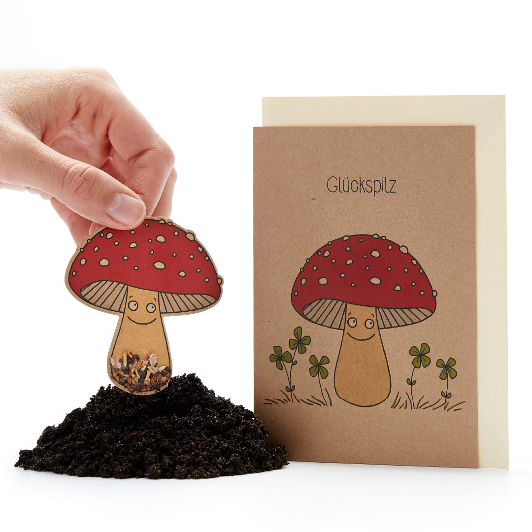 La main met dans le sol une carte en forme de champignon avec des graines, à côté une carte de vœux avec une amanite tue-mouches et l'inscription « Lucky Mushroom ».