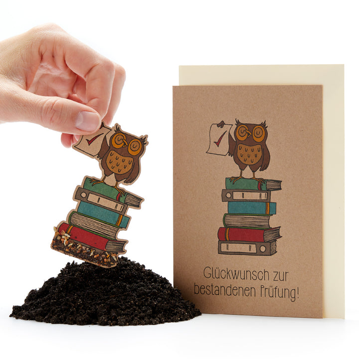 Main tenant une figurine en papier d'un hibou sur une pile de livres, à côté d'une carte de vœux avec un motif de hibou et le texte « Félicitations pour avoir réussi l'examen ».