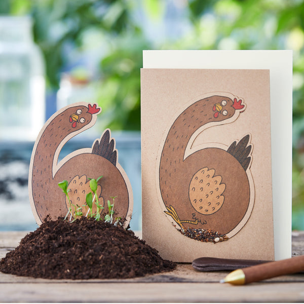 "Dessin de poulet amusant sur une carte de vœux, debout à côté d'une pelle et de terre, avec des semis au premier plan."