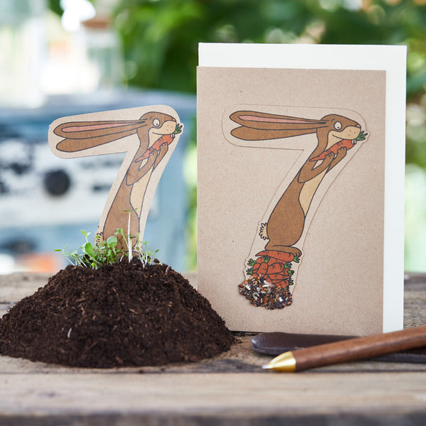 Carte pour enfant avec le numéro sept, représentant un lapin avec une carotte, à côté un lit avec de la terre et des plantes.