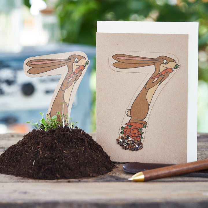 Carte pour enfant avec le numéro sept, représentant un lapin avec une carotte, à côté un lit avec de la terre et des plantes.