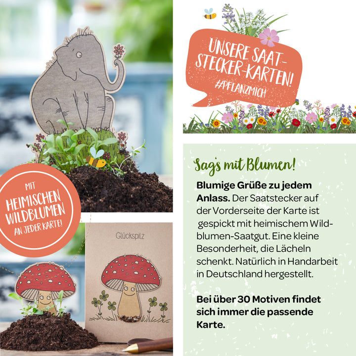 Cartes de semis plantables avec motifs d'un éléphant et d'un champignon porte-bonheur entourés de terre et de plantes, texte publicitaire pour des salutations florales et des fleurs sauvages indigènes, fabriquées à la main en Allemagne.