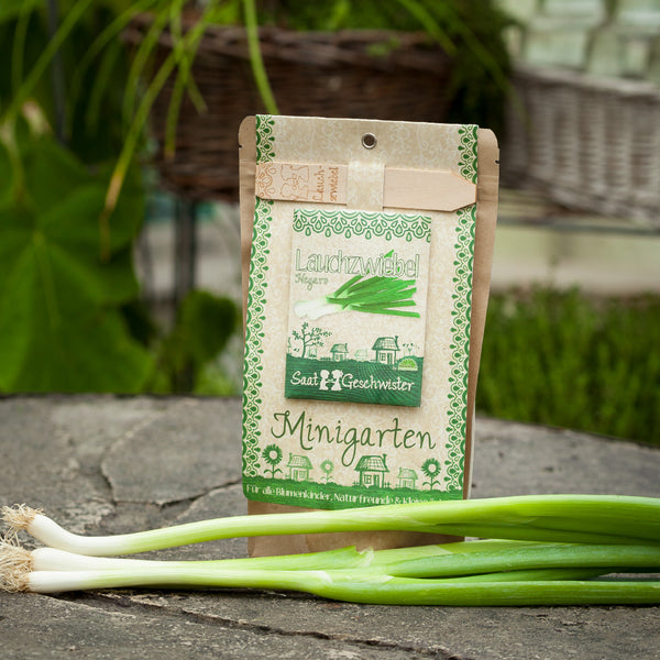 Sachet de graines d'oignons poireaux à côté d'oignons poireaux frais sur un sol pierreux avec un environnement verdoyant.