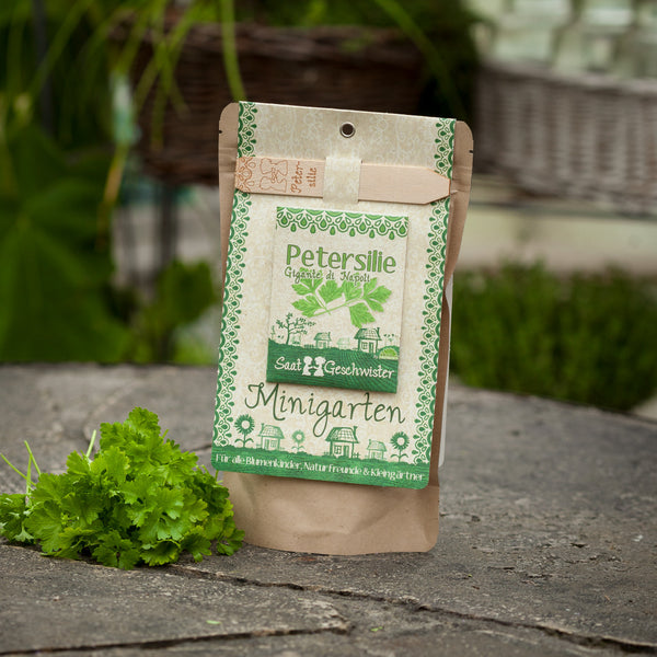 Emballage de graines de persil intitulé « Mini Jardin » à côté de persil frais sur un fond de pierre.