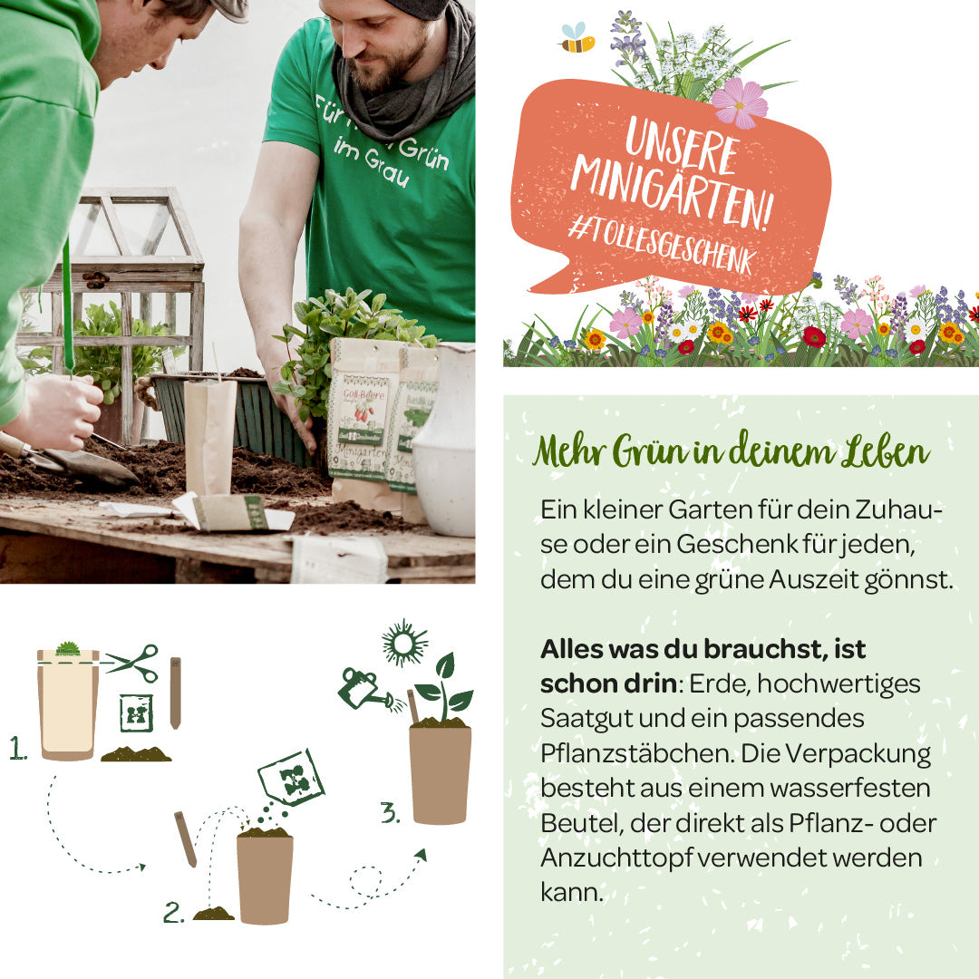 Deux personnes plantent ensemble une petite serre, à côté se trouvent des informations publicitaires pour les mini-jardins.