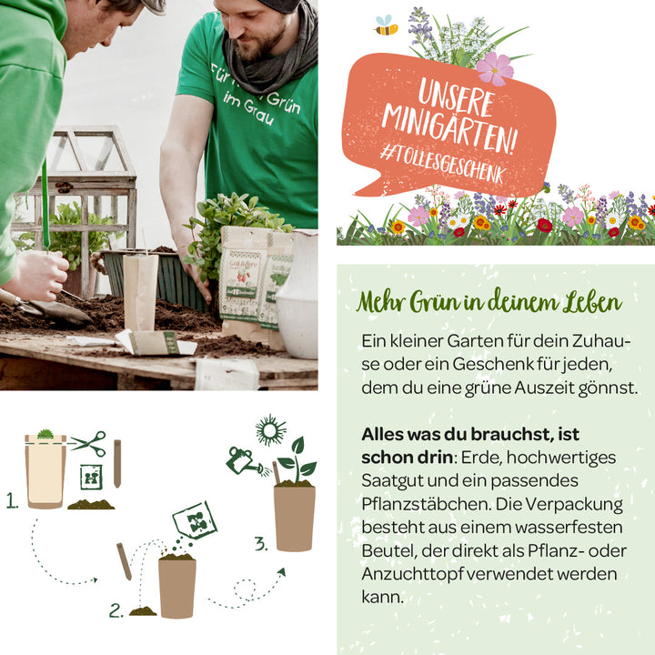 Deux personnes plantent ensemble une petite serre, à côté se trouvent des informations publicitaires pour les mini-jardins.