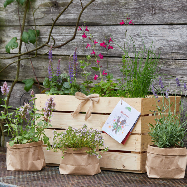 Boîte en bois avec diverses herbes, devant elle trois plantes dans des sacs en papier brun, à l'arrière-plan un mur en bois recouvert de lierre"