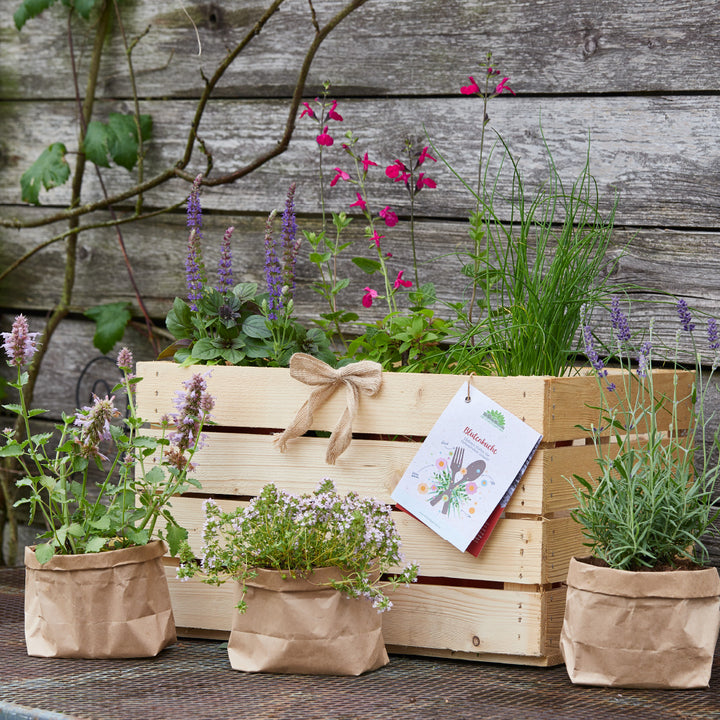 Boîte en bois avec diverses herbes, devant elle trois plantes dans des sacs en papier brun, à l'arrière-plan un mur en bois recouvert de lierre"