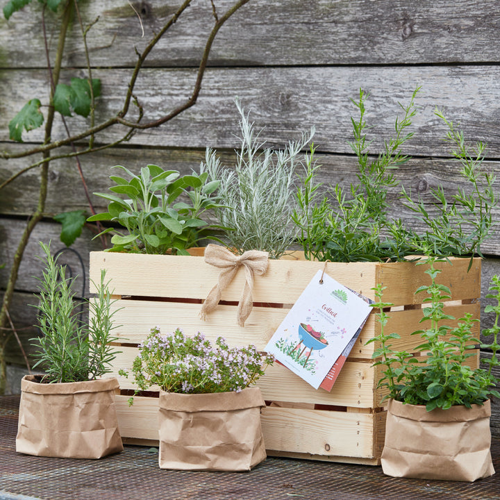 Jardin d'herbes aromatiques dans une boîte en bois et des sacs en papier devant un vieux mur en bois.