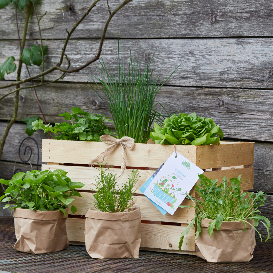 Boîte en bois avec diverses herbes et sacs en papier sur une surface en bois dans le jardin.