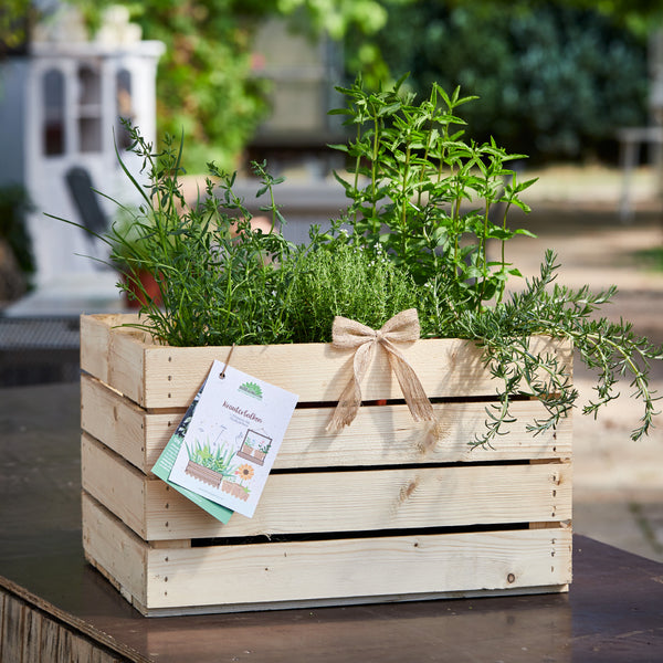 Boîte en bois avec diverses herbes et ruban sur une table extérieure.