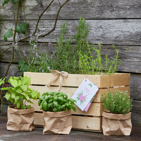 Jardin d'herbes aromatiques dans une boîte en bois et des sacs en papier sur une terrasse en bois