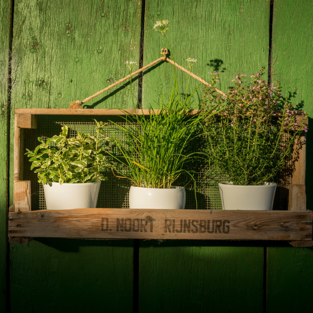 Étagère de jardin fabriquée à partir d'un tamis à oignons