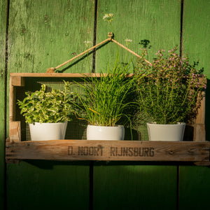 Étagère de jardin fabriquée à partir d'un tamis à oignons