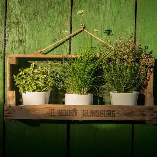Étagère de jardin fabriquée à partir d'un tamis à oignons