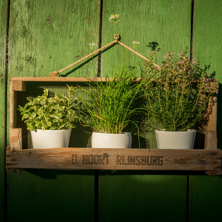 Étagère de jardin fabriquée à partir d'un tamis à oignons