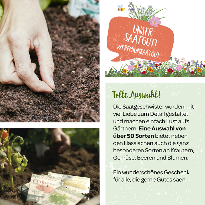 Plantation manuelle de graines dans le sol, publicité pour des graines de qualité supérieure, jardinage, texte sur la sélection et la qualité des graines.