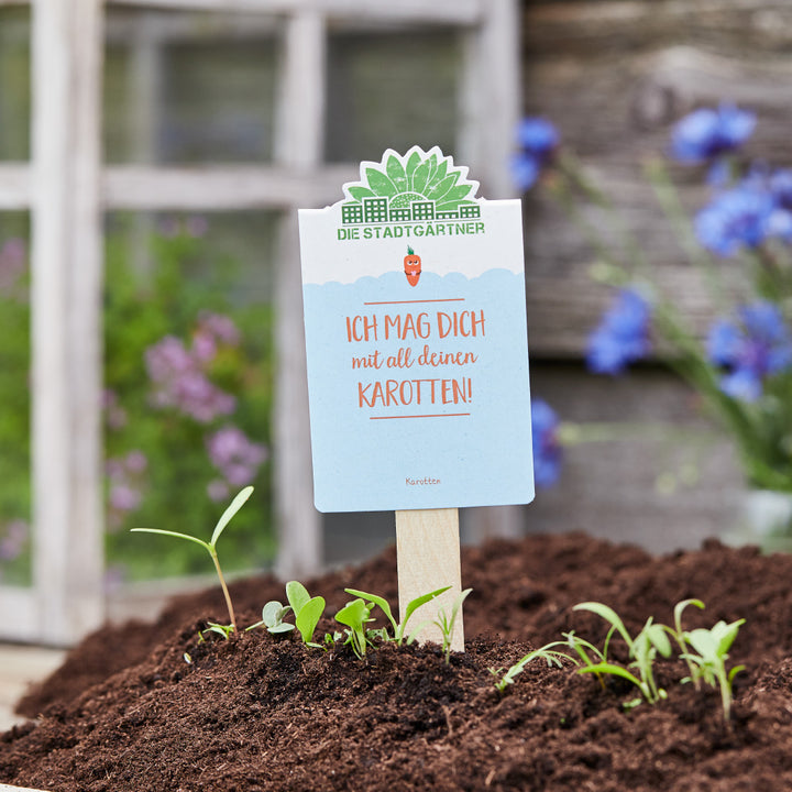 Plantez un panneau indiquant « Je t'aime avec toutes tes carottes ! » dans un parterre de jardin.