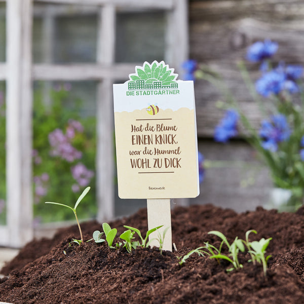 Panneau de jardin avec le dicton « Si la fleur a un pli, le bourdon était probablement trop gros » dans un parterre de jeunes plantes.