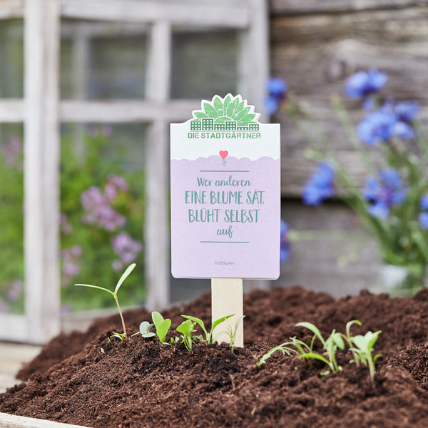 Panneau de plante dans le sol avec le dicton « Celui qui sème une fleur pour les autres fleurira lui-même » sur un fond flou avec une fenêtre et des fleurs bleues.