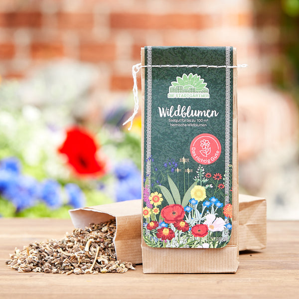 Sachet de graines de fleurs sauvages sur une table en bois avec des graines renversées et un arrière-plan de jardin flou.