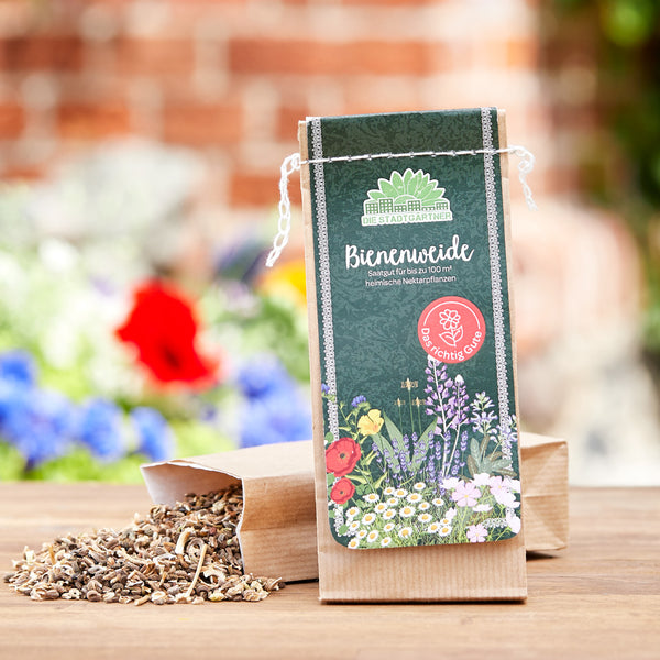 Sac de graines pour prairie d'abeilles avec graines de fleurs sur un fond de jardin flou.