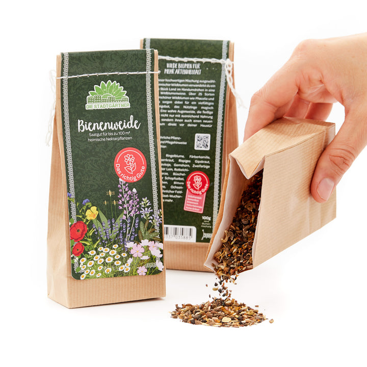 Sachets de graines de fleurs sur fond blanc, avec des graines débordant d'un sachet ouvert.