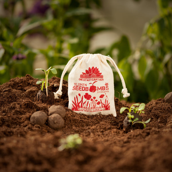 Plantes en germination et bombes à graines à côté d'un sac en tissu imprimé de terre fertile.