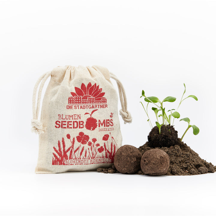 Sac en lin avec imprimé « graines de fleurs » à côté de plantes en germination et de bombes à graines sur fond blanc.