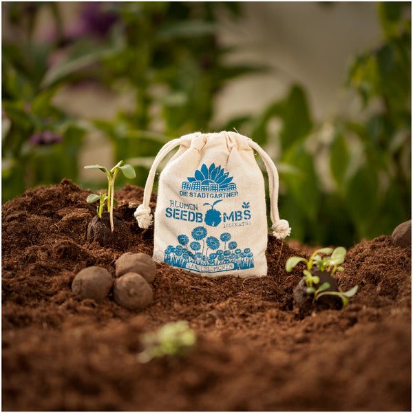 Sachet de graines de "Seedbombs" des jardiniers de la ville sur un sol fertile avec des semis et du terreau.