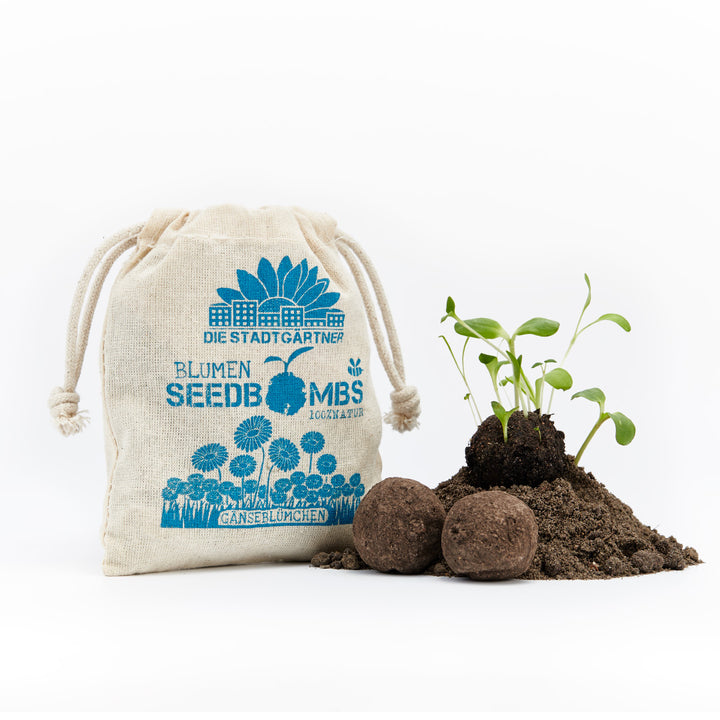 Les semis poussent à partir d'un monticule de terre à côté de bombes à graines et d'un sac étiqueté « THE CITY GARDENERS FLOWER SEEDBOMBS 100% NATURAL DAISIES ».