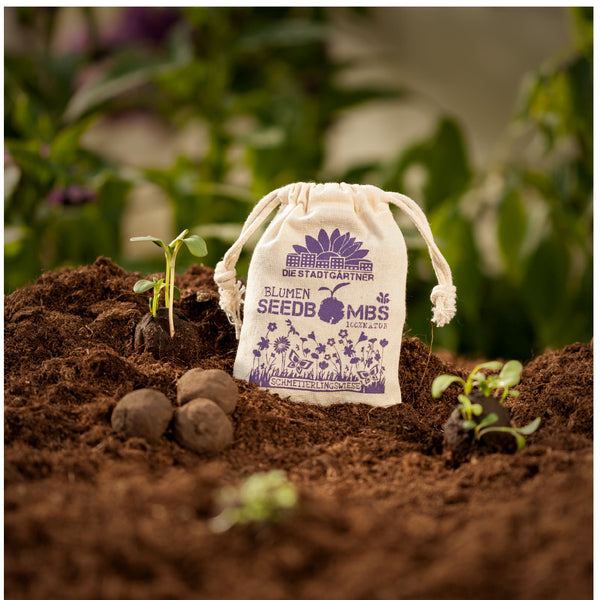 Une jeune plante pousse à côté d'un sac en tissu étiqueté « Flower Seed Bombs », entouré de terre et de boules de graines.