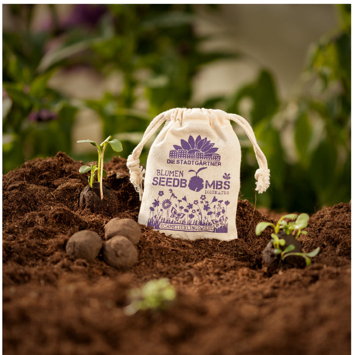 Une jeune plante pousse à côté d'un sac en tissu étiqueté « Flower Seed Bombs », entouré de terre et de boules de graines.