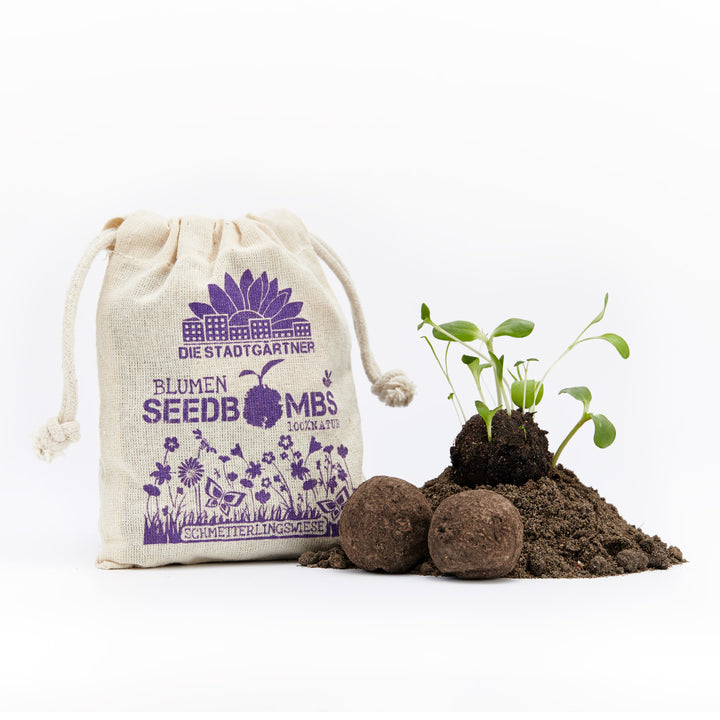 Plantes en germination sur un monticule de terre à côté de bombes à graines et d'un sac en tissu imprimé.