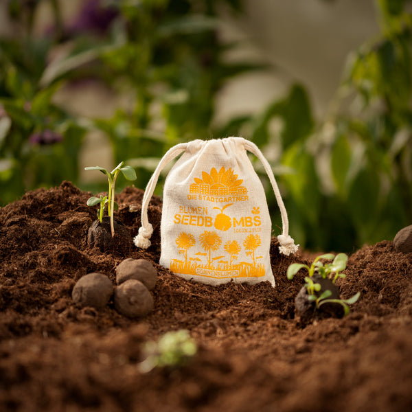 Sac en tissu avec l'inscription « The City Gardeners Flower Seed Bombs » à côté de plantes en germination sur un sol fertile.