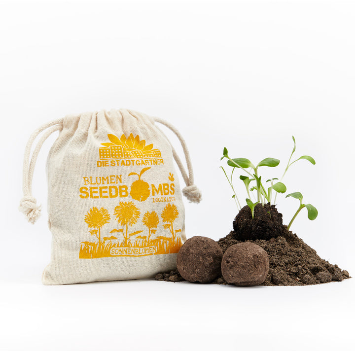 Un sac étiqueté « FLEURS BOMBES DE SEMENCES TOURNESOLS » à côté de semis et de bombes de graines sur le sol.