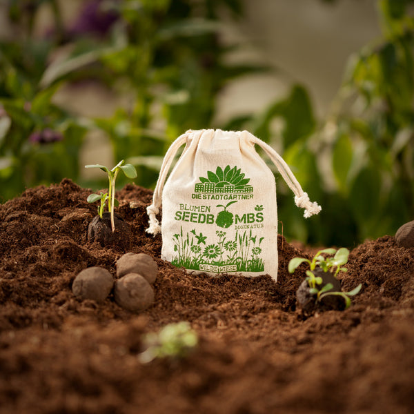 « Plantules et bombes à graines dans un sac de jute sur un sol fertile ; concept de jardinage et de protection de l'environnement »