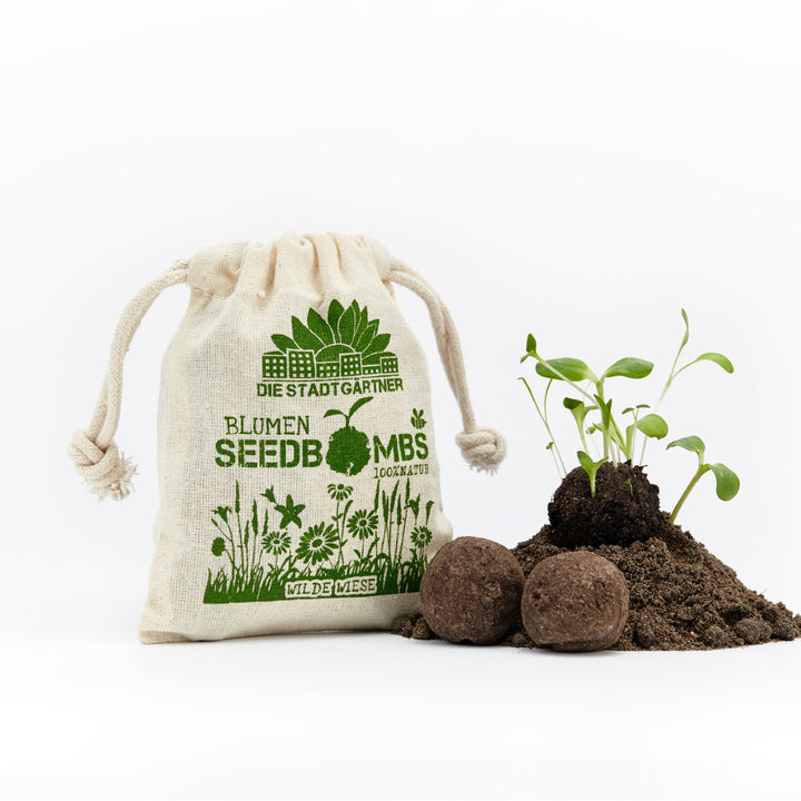 Sac en tissu avec imprimé « The City Gardeners Flower Seedbombs » à côté de terre et de plantes en germination.
