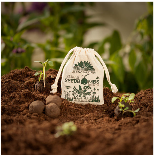 Un sac étiqueté « Bombes de graines » à côté de plantes en germination et de boules de graines sur un sol fertile avec des plantes floues en arrière-plan.