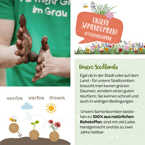 Personne tenant des bombes à graines sur une infographie sur l'utilisation des bombes à graines, texte sur les avantages et la composition naturelle.