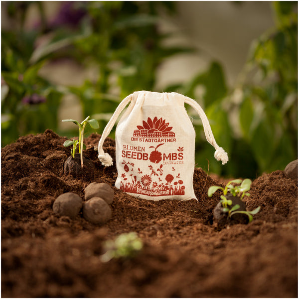 Un sac étiqueté « Bombes de graines de fleurs » sur un sol fertile à côté de semis et de bombes de graines.