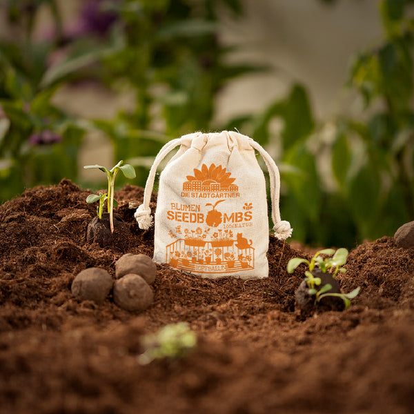 Un sac étiqueté « Bombes de graines de fleurs » est posé sur un sol fertile à côté de semis et de boules de bombes de graines.