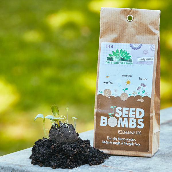 Emballage avec des « bombes à graines » à côté d'un monticule de terre avec de jeunes pousses de plantes, concept de jardinage durable.
