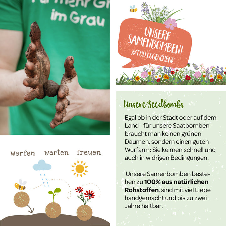 Personne tenant des bombes à graines faites maison, texte publicitaire pour les bombes à graines, instructions pour lancer et faire pousser des plantes.